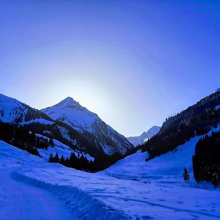 Apart Alexandra Strass im Zillertal Værelse billede