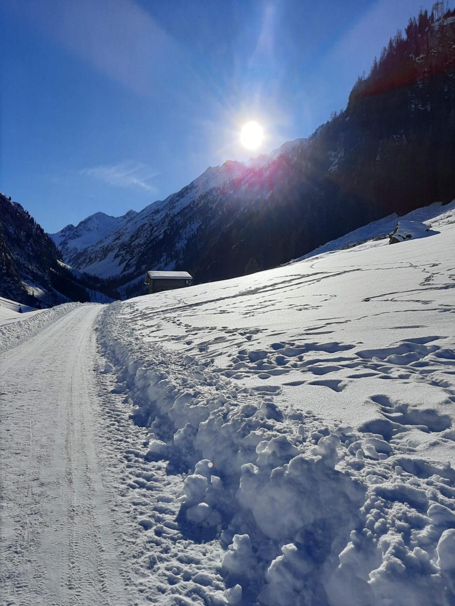 Apart Alexandra Lejlighed Strass im Zillertal Værelse billede